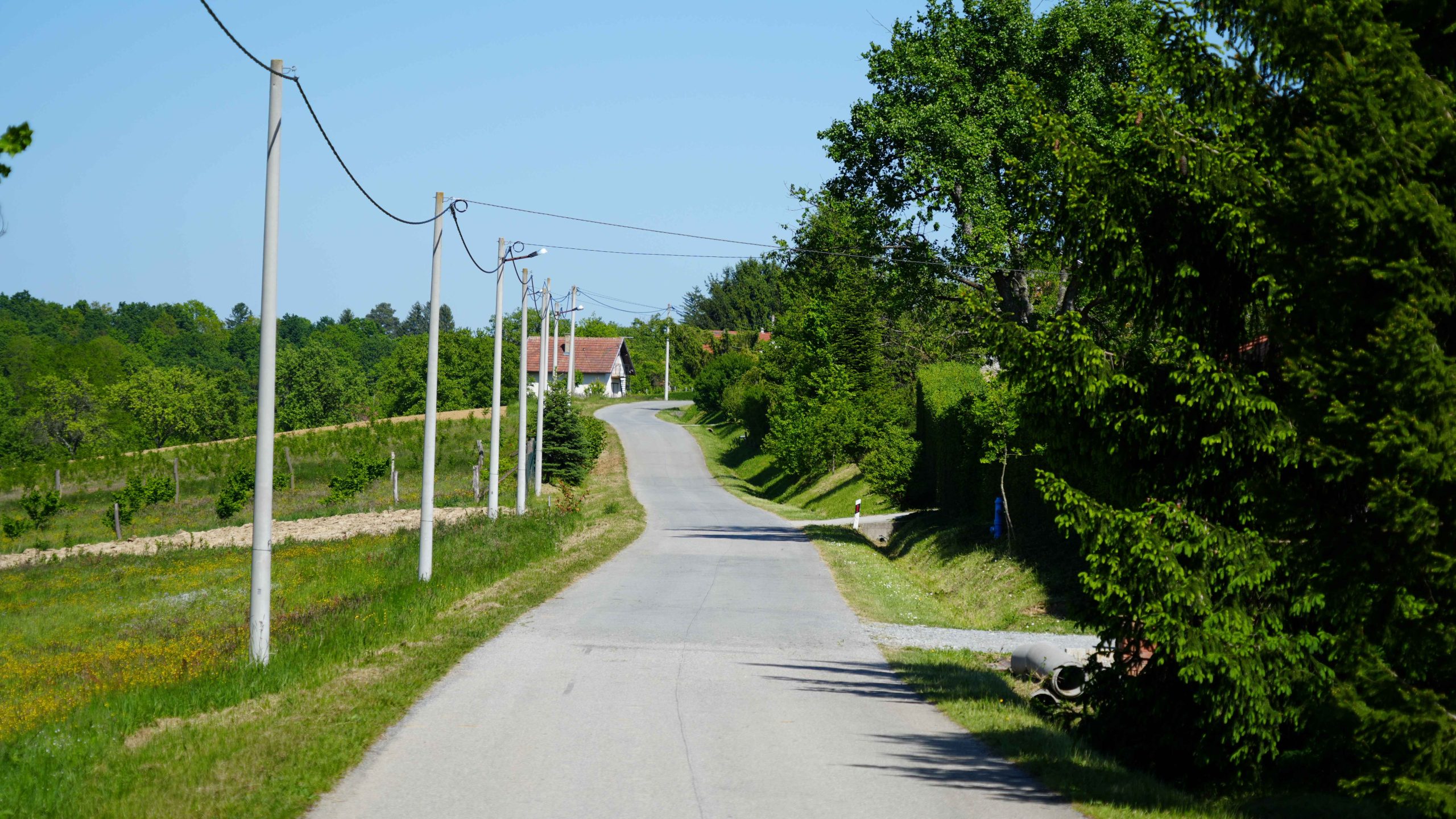 dsc00521